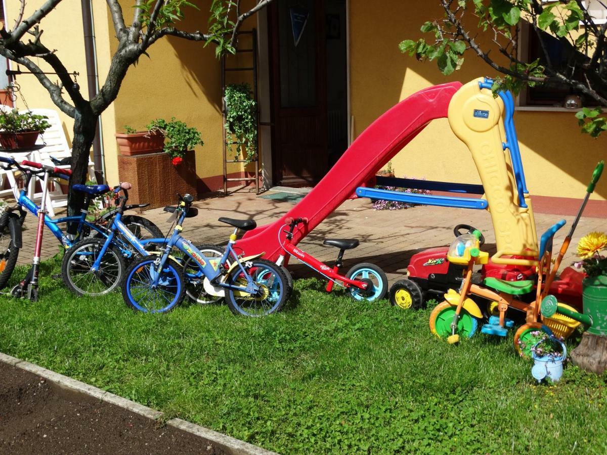 Il Nido Del Merlo Parcheggio E Giardino Verbania Ngoại thất bức ảnh