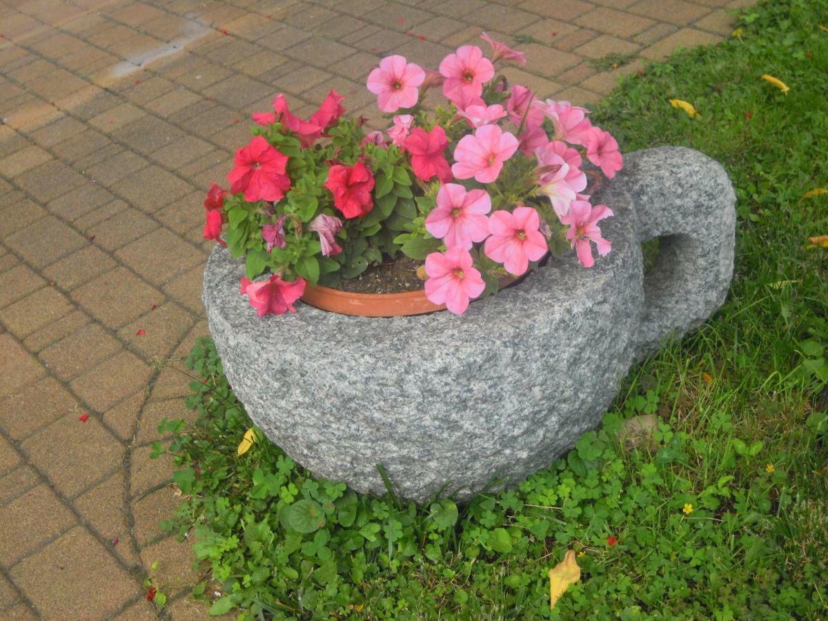Il Nido Del Merlo Parcheggio E Giardino Verbania Ngoại thất bức ảnh